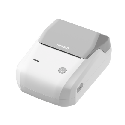 Niimbot B1